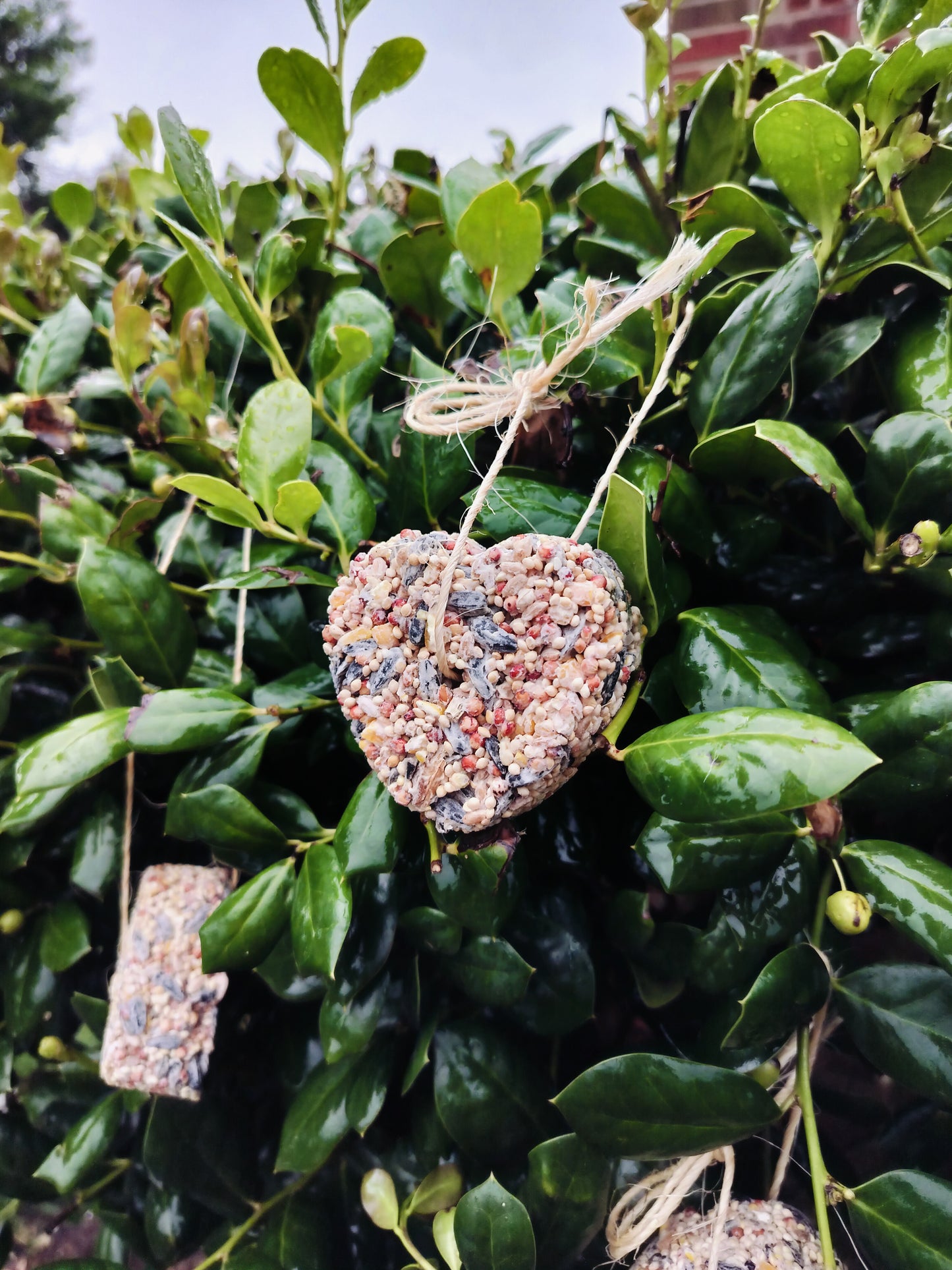 Wild Birdseed Ornaments