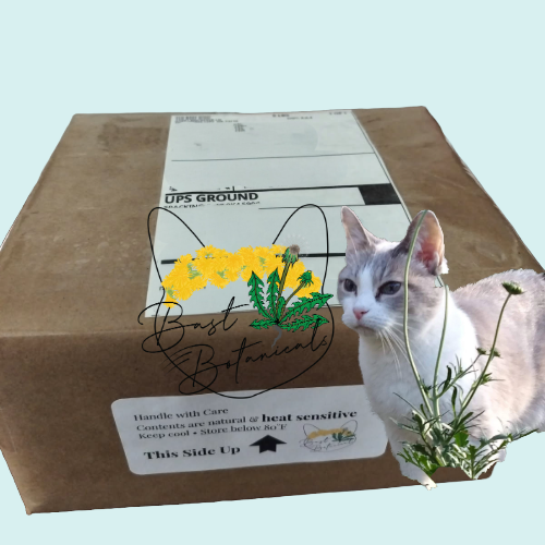 "Anything can happen...if only YOU Believe"