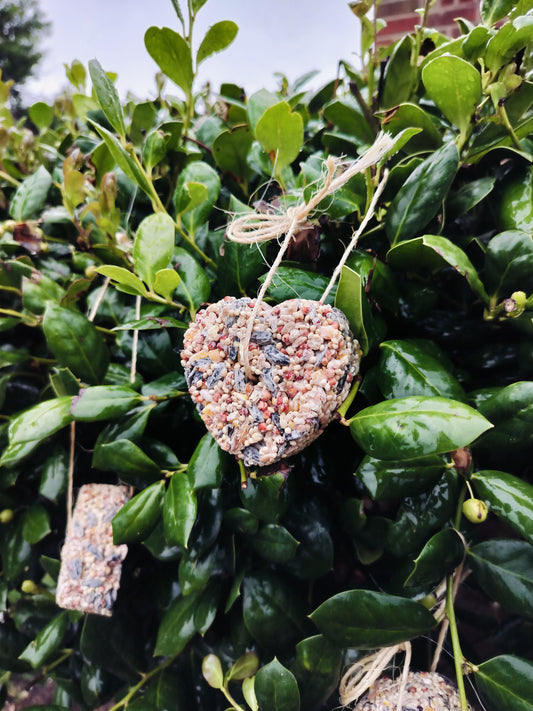 Wild Birdseed Ornaments