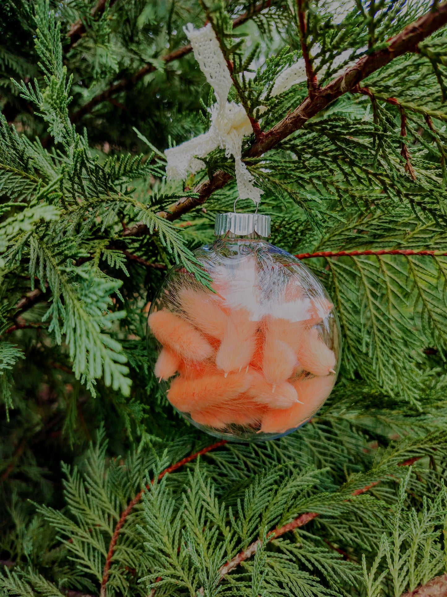 Dried Floral Ornament – Large Disc (3.94")