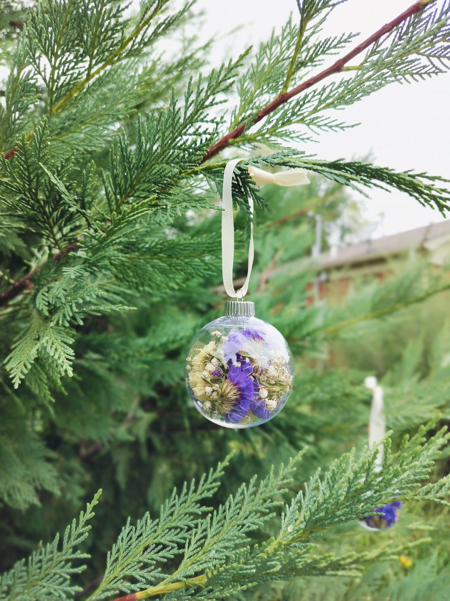 Dried Floral Ornament – Globe (2.6")