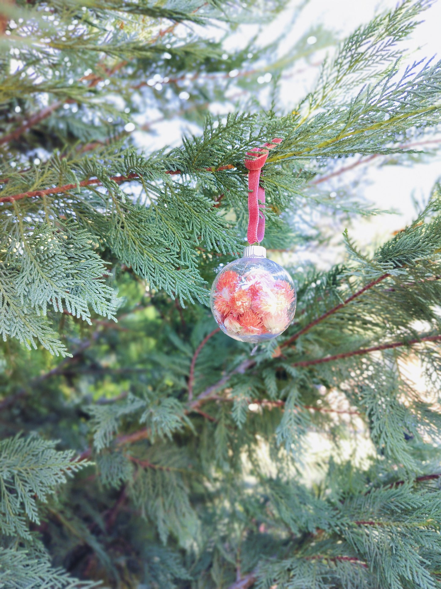 Dried Floral Ornament – Globe (2.6")