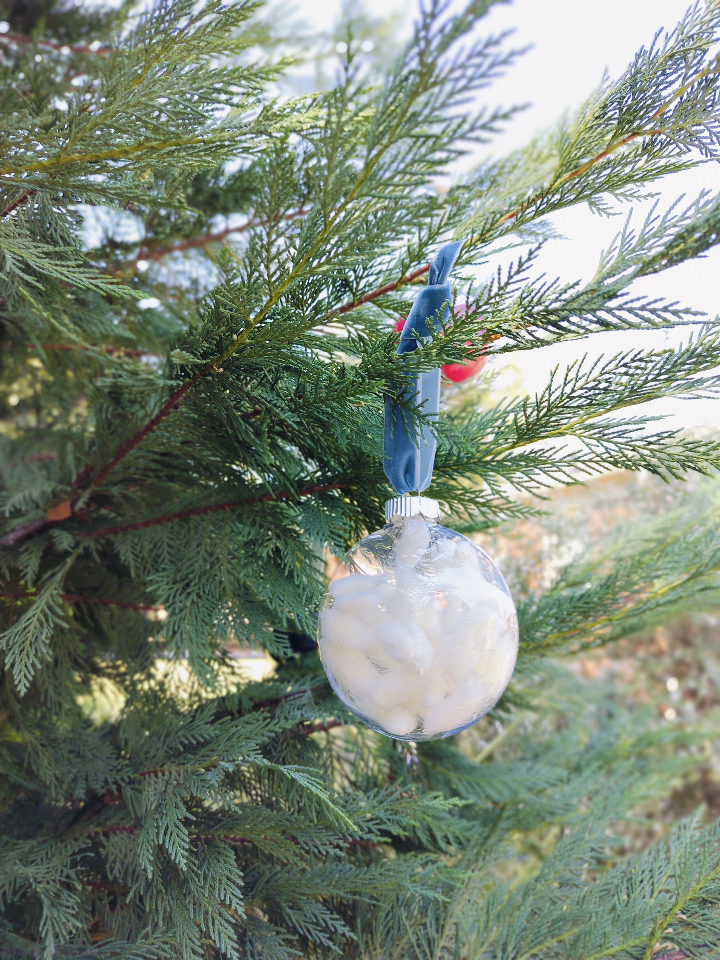 Dried Floral Ornament – Large Disc (3.94")